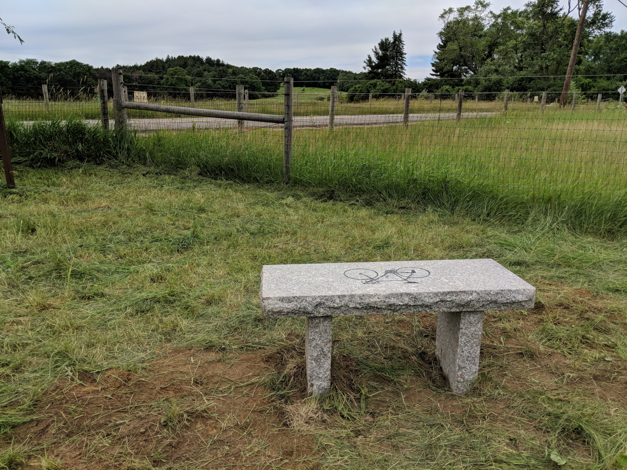 Gary&rsquo;s Bench