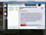 PenguinTV on Maemo