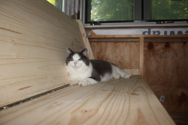 Owen s Photolog I Guess This Is A Tiny House Blog Now